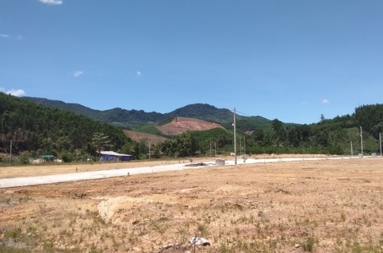 Thông tin từ đường dây nóng